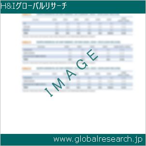 グローバルリサーチ調査レポートのイメージ